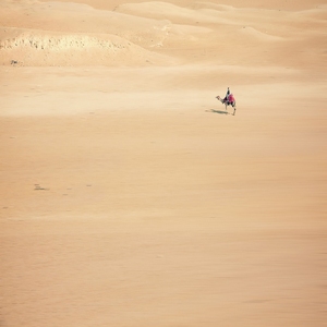 Image by 8moments titled ’sand, camel, desert’. Source: Pixabay