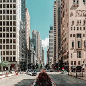 Image by juergen-polle titled ’chicago, nature, city’. Source: Pixabay