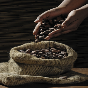 Image by 526663 titled ’cocoa beans, hands, sack’. Source: Pixabay