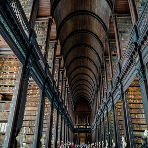 Image by TuendeBede titled ’library, books, dublin’. Source: Pixabay
