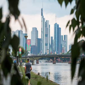 Image by mat_hias titled ’frankfurt, skyline, city’. Source: Pixabay