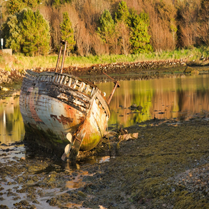 Image by hhach titled ’ship wreck, wreck, ireland’. Source: Pixabay