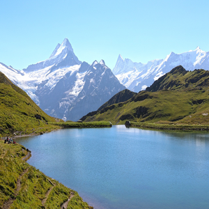 Image by markpringle titled ’grindelwald, switzerland, mountain’. Source: Pixabay
