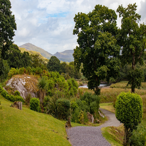 Image by comuirgheasa titled ’lake, path, road’. Source: Pixabay