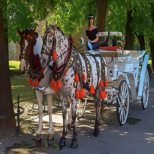 Image by Surprising_SnapShots titled ’carriage, horses, nature’. Source: Pixabay