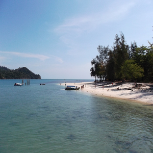 Image by safiamycentrio titled ’beach, langkawi, malaysia’. Source: Pixabay