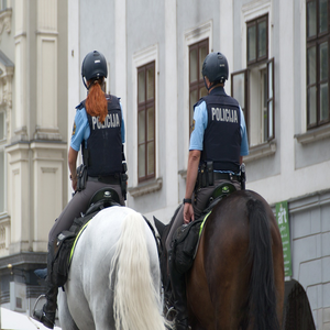 Image by MAILAI titled ’city, police, horses’. Source: Pixabay