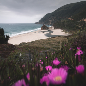 Image by crispy-fotografie titled ’san francisco, california, beach’. Source: Pixabay